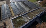  tetto verde fondazione minoprio